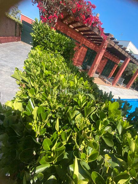 Foto f9ceb882-d359-4729-9bc7-fba50182f6f4. Alquiler chalet espectacular casa con vistas al mar, piscina y jardín en Sant Feliu de Guíxols