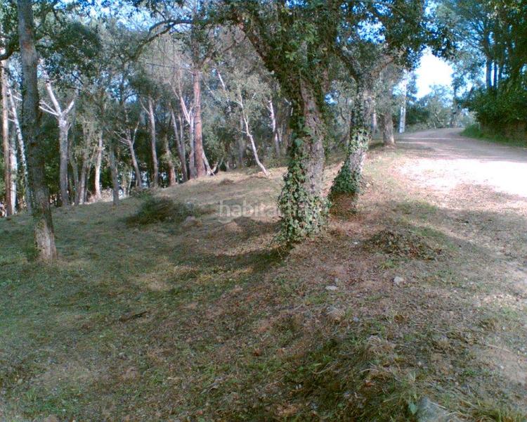 Foto 6ac4ac0d-9499-4e2c-a953-958a0c1cdf75. Finca rústica a Golf Costa Brava Santa Cristina d´Aro