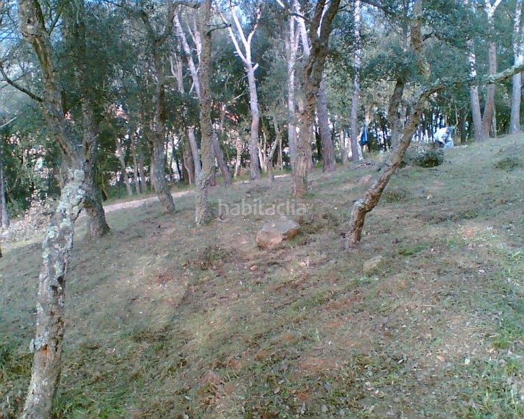 Foto 6f1aaad8-12de-469e-ab1b-c7f1feb8f88e. Finca rústica a Golf Costa Brava Santa Cristina d´Aro