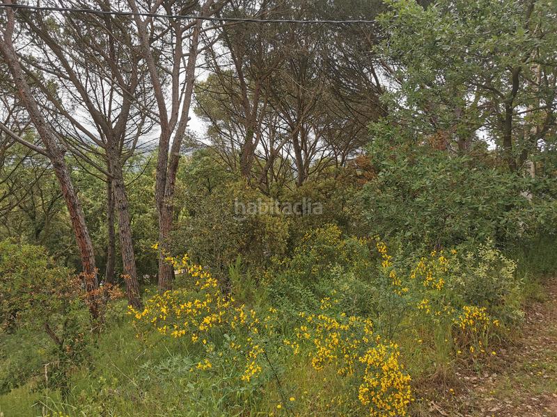 Foto 7691677f-fcd0-4ce2-a56c-d0a4f31d8ea5. Finca rústica a Golf Costa Brava Santa Cristina d´Aro