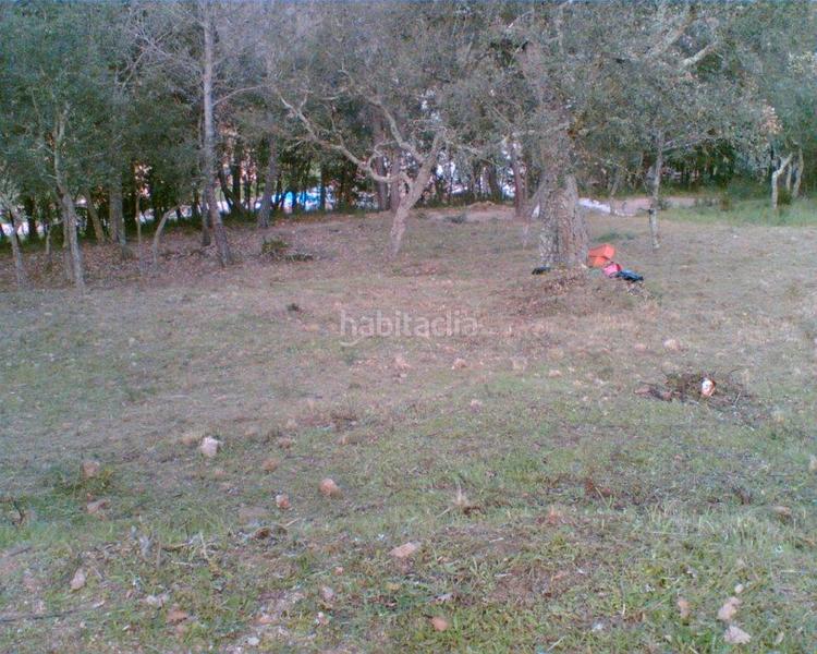 Foto 801d8262-f276-498b-9c15-caffdb59482e. Finca rústica a Golf Costa Brava Santa Cristina d´Aro