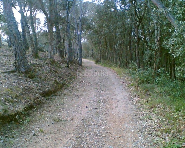 Foto 81542020-1ebb-406d-afe0-1f107795dcf4. Finca rústica a Golf Costa Brava Santa Cristina d´Aro