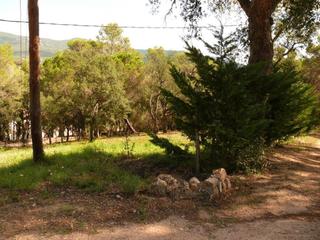 Finca rústica  Lloc barri solius. Terreno en venta en lloc barri solius 18, santa cristina d'aro