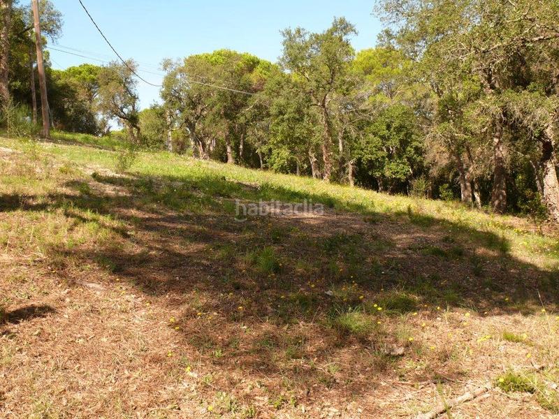 Foto e36f2c45-9b4a-4f73-9d86-99d365c0e5ce. Finca rústica a Golf Costa Brava Santa Cristina d´Aro