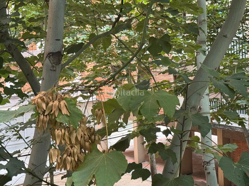 Foto a4b74ca4-a229-4e97-b4ae-f0c76db7559c. Flat with heating in La Marina del Port Barcelona