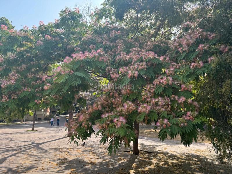 Foto db3db512-7749-4de8-a455-cf9a2c0ac4bb. Appartement dans La Marina del Port Barcelona