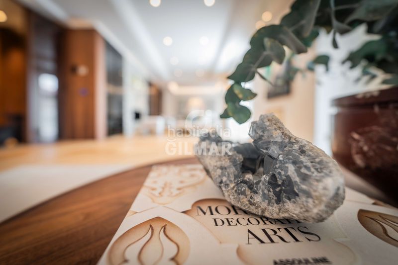 Foto fb1643a2-acb7-436c-8a1c-b59ecbc00c65. Pis amb calefacció a Castellana Madrid