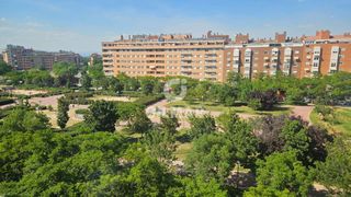 Pis a Rosas - Musas. En el prestigioso barrio de las rosas, madrid, presentamos este