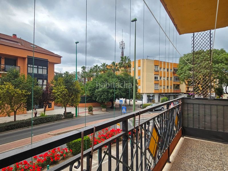 Foto 7307eeb3-a3af-4c43-a562-5428faddffa6. Pis a Pueblo Eliana (l´)
