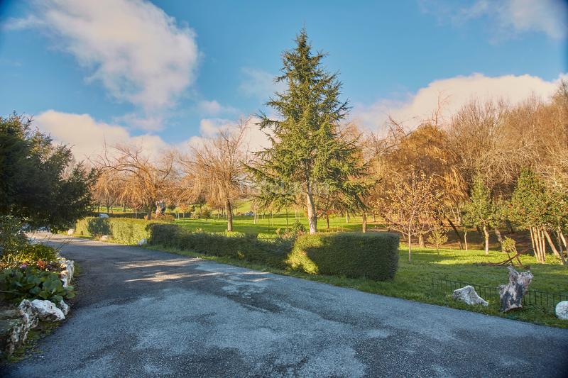 Foto 42988617-f051-4a16-9cf7-094488406dc3. Bauernhof mit kamin parking in Castroverde