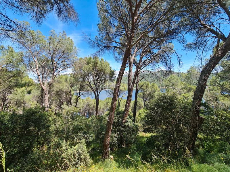 Foto 6dfaf734-adab-4c4d-abd0-3c689fbcafef. Chalet preciosa propiedad en enclave único junto al pantano de san juan en San Martín de Valdeiglesias