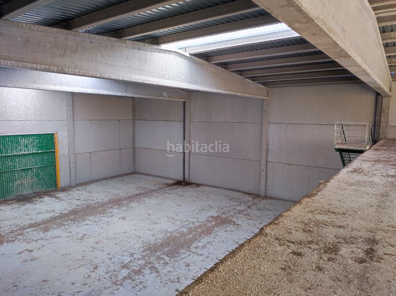 Foto 17fe606d-75e2-463b-b494-eca56e5cea4c. Nau industrial a Peraleda de la Mata