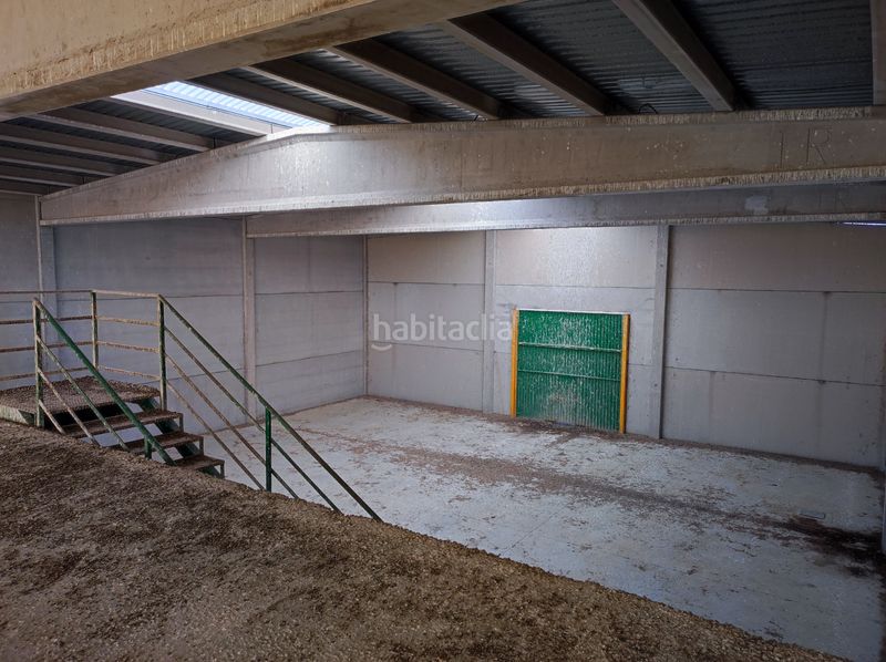 Foto 5f2c0416-e964-4ef4-bc49-f1aa7b26ca44. Nau industrial a Peraleda de la Mata