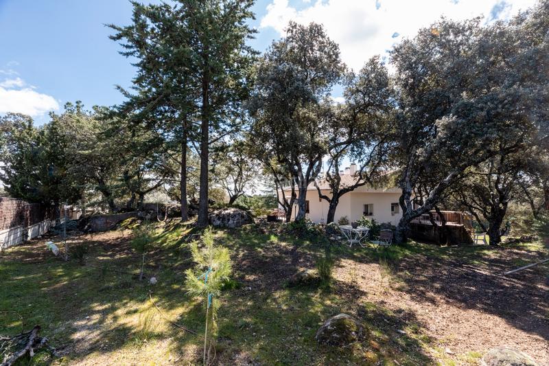 Foto 7d8b54d1-f91d-4ad6-b76c-c765be223d3e. Chalet ¡descubre tu oasis personal ! en Mojadillas-Parque de las Infantas-El Paraiso Valdemorillo