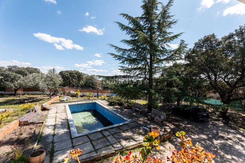 Foto deab71cf-a61d-4b3f-acca-9202d6e4382a. Chalet ¡descubre tu oasis personal ! en Mojadillas-Parque de las Infantas-El Paraiso Valdemorillo