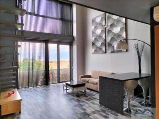 tic en Campodn-Ventorro del Cano. Alcorcnatico