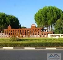 Local Comercial a santillana del mar 14