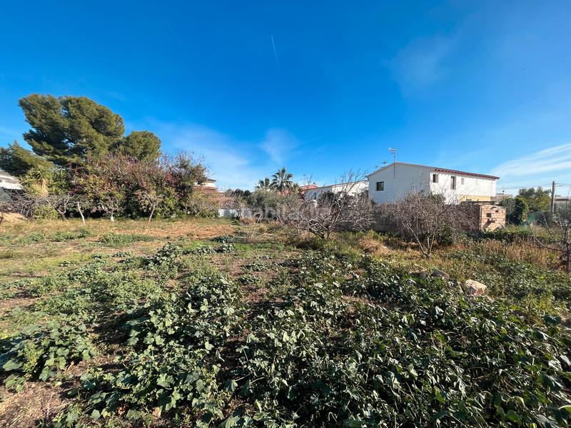 Foto 5e5bf378-5aea-4c02-9464-f7bfc33ab497. Wohngrundstück in Roda de Barà