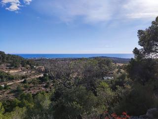 Residential Plot in Carrer mirador de barà 3. Solar urbano de 1542 m2 en zona residencial