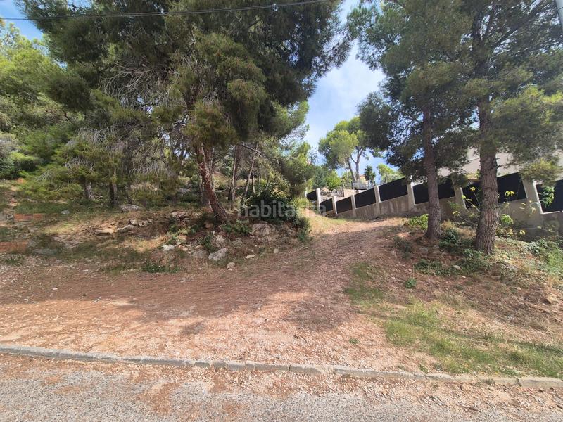Foto 3ddbf3de-39b5-4a04-bfd7-624efcb31273. Terrain résidentiel dans Roda de Barà