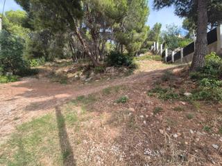 Terreno residencial en Roda de Barà