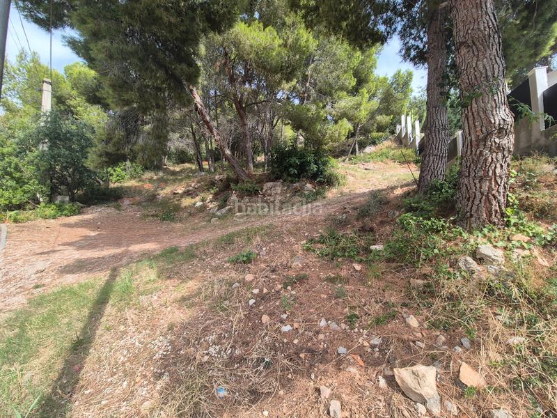 Foto 883f7df9-e782-41c2-955d-6dd687d986a9. Terrain résidentiel dans Roda de Barà