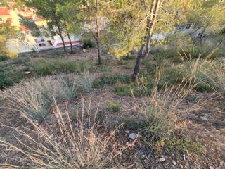 Terreno residencial en Roda de Barà. Solar urbano en venta.