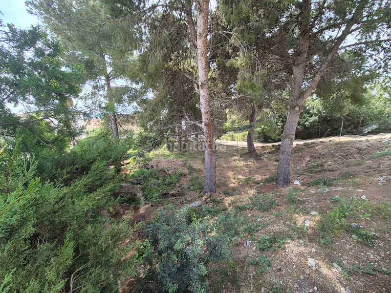 Foto 04c1ca8a-32ec-4b01-8d9c-193bd414e6de. Terreny residencial a Roda de Barà