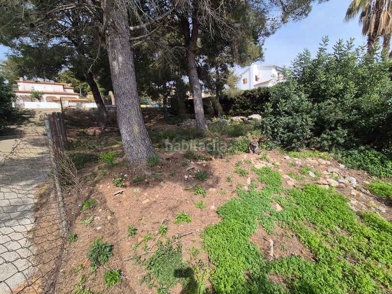 Foto 35f10489-aeb8-4663-880d-789fa73f4fe9. Terreny residencial a Roda de Barà