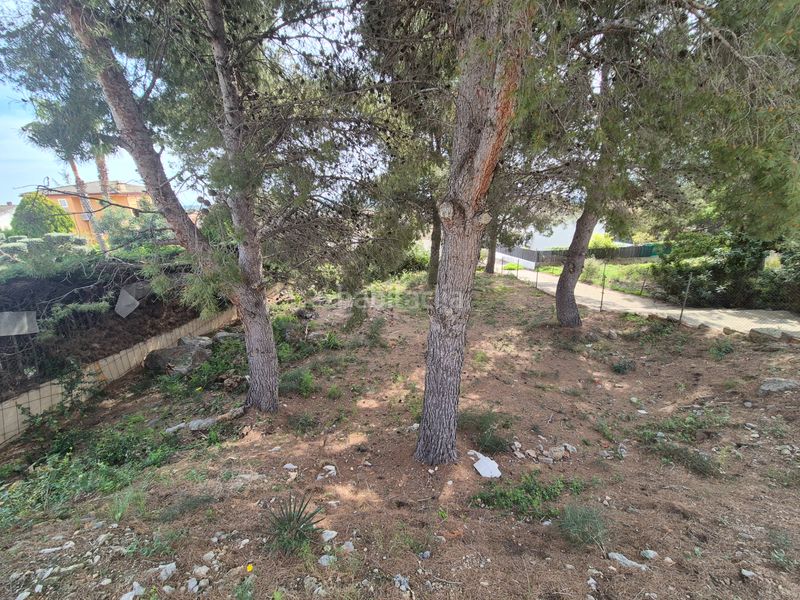 Foto 3e468230-ad0b-4a5d-a473-4b874250e1a9. Terreny residencial a Roda de Barà
