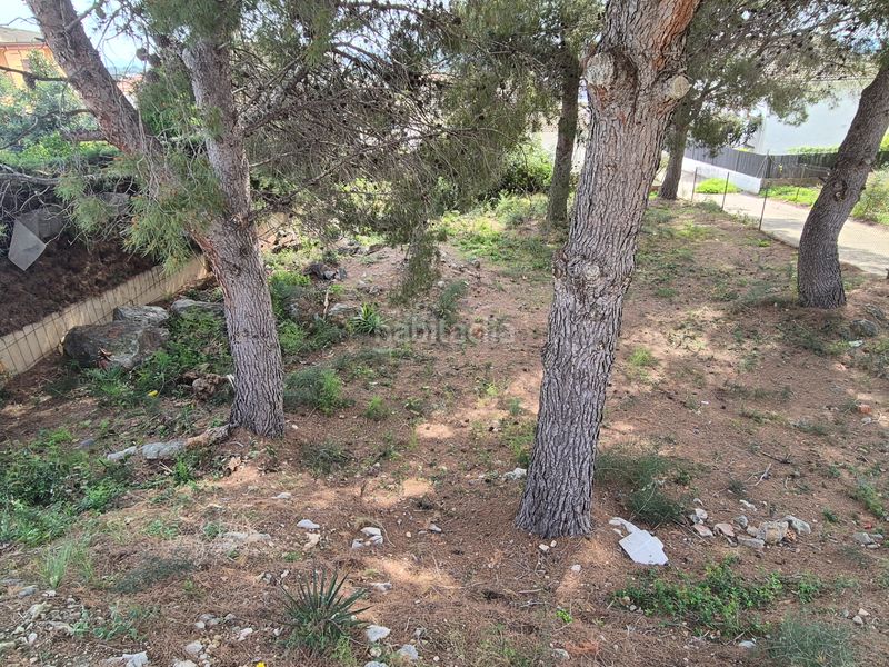 Foto 55ddb730-e2a1-4f5c-8a54-d883c214e4f2. Terreny residencial a Roda de Barà