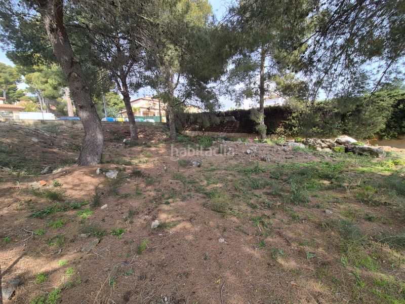 Foto 6caa626e-f3b8-406d-86e6-b2a05362b789. Terreny residencial a Roda de Barà