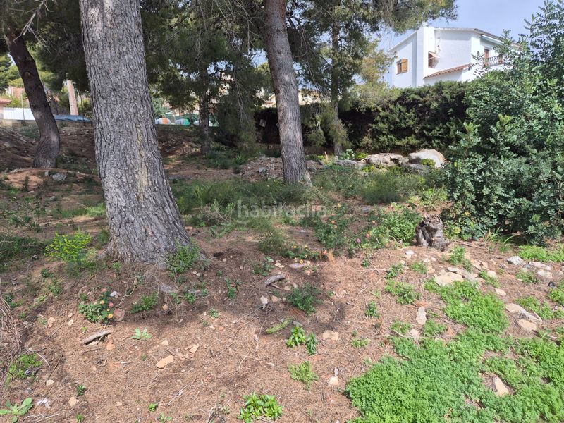 Foto 777d9255-3400-4adb-b5eb-6da0c95b21ff. Terreny residencial a Roda de Barà