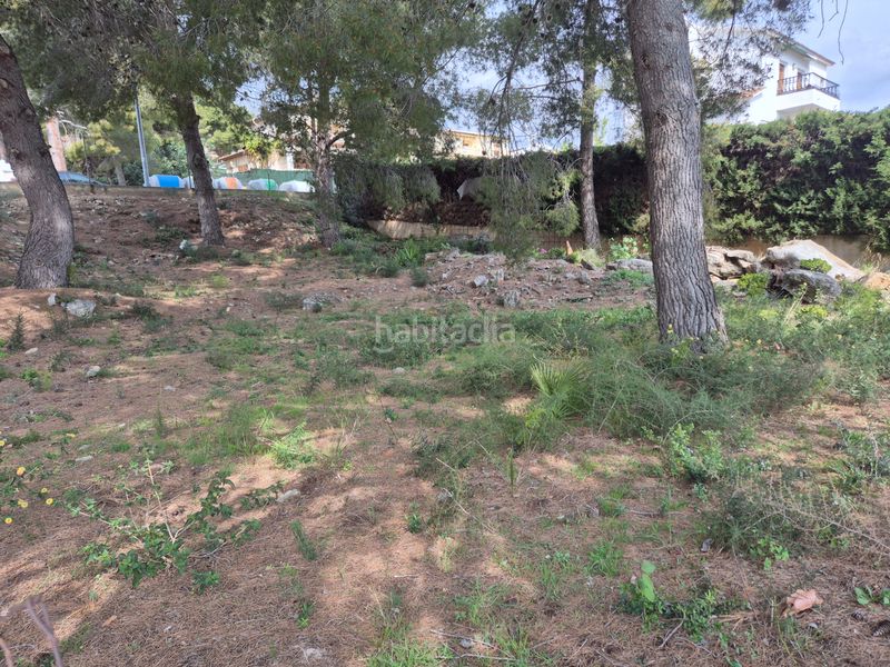 Foto eeaf2f4f-5ba3-4711-a6d3-017dcc8a41f0. Terreny residencial a Roda de Barà