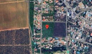 Rural plot  Torrepalma. En carmona