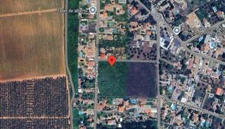 Finca rústica  Torrepalma. En carmona