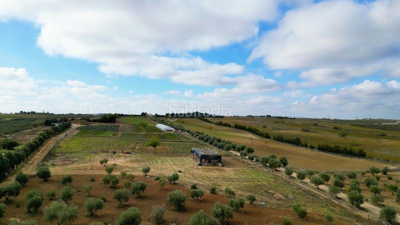 Foto 02a4b90a-b51f-42aa-b1cc-550b845e4fcf. Terreno residenziale in Batres