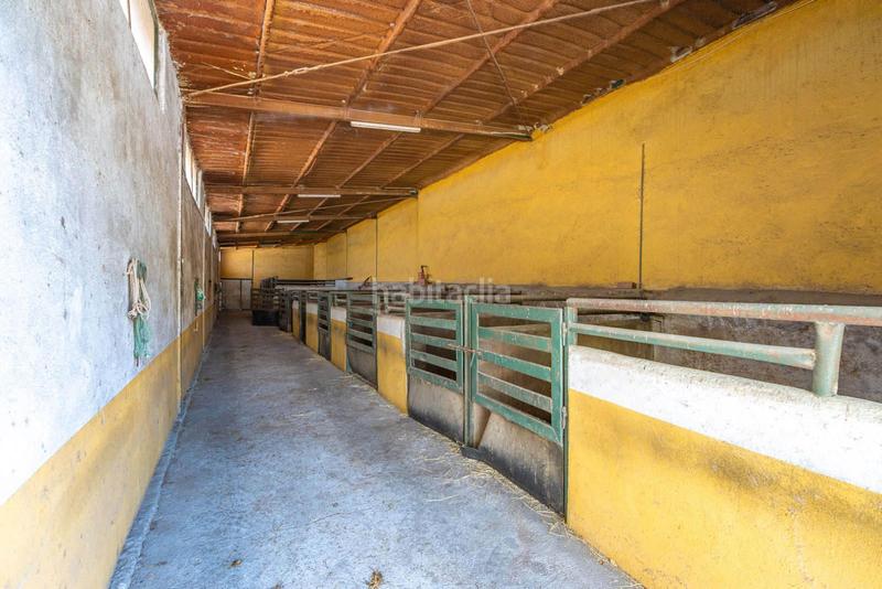 Foto 096d1fef-2d44-4f2c-b6dc-e9b05092a474. Terreno residenziale in Batres