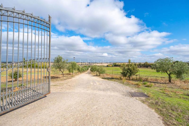 Foto 461e828e-d4fc-43d8-bd42-ac8de09df628. Terreno residenziale in Batres