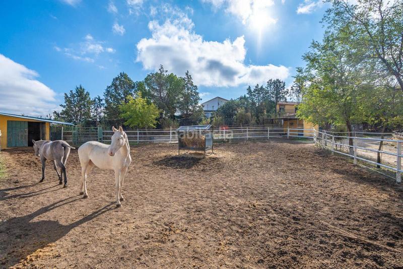 Foto 780d2184-1d04-4f2d-8f88-ae0317290da5. Terreno residenziale in Batres