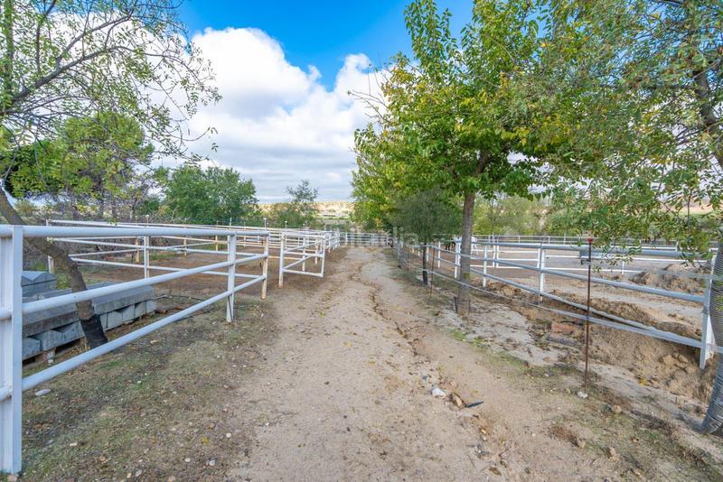 Foto 8f303503-8f8c-4954-b45e-e1861e92efc8. Terreno residenziale in Batres