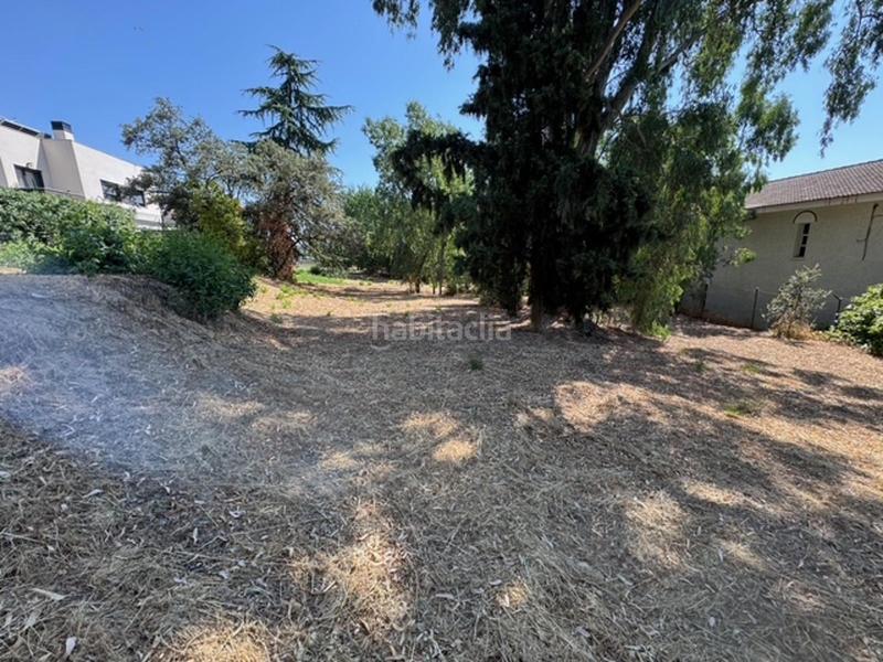 Foto 5765ac63-8395-48f4-9103-2f0e74f6f535. Fondo rustico in Las Matas-Peñascales Rozas de Madrid (Las)