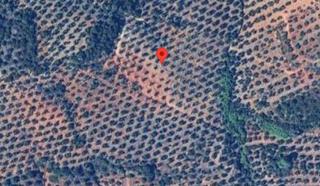 Finca rústica  Sorihuela del guadalimar (jaén). En sorihuela de guadalimar