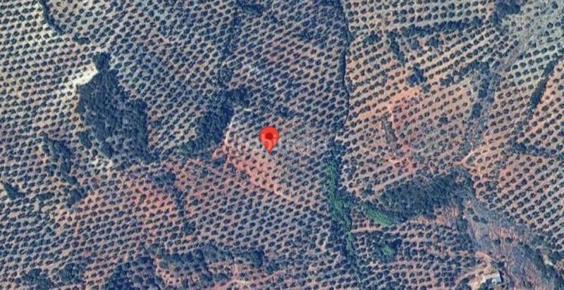 Foto b499f64c-6465-438c-b2e6-b3d2afa64fda. Finca rústica a Sorihuela del Guadalimar