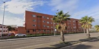 Pis  Trebol. En mérida