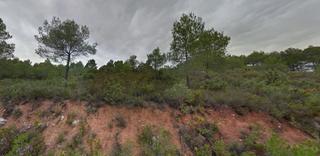 Rural plot  Pins dels. En el montmell