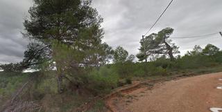 Rural plot  Pins dels. En el montmell