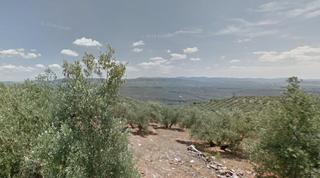 Finca rústica  Los perones. En sorihuela de guadalimar