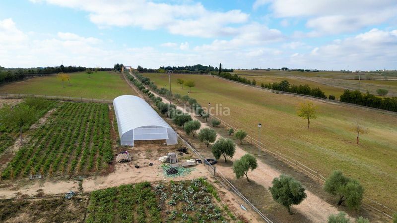 Foto 10a005a6-836a-4b96-8801-817b4def36a9. Finca rústica a Batres