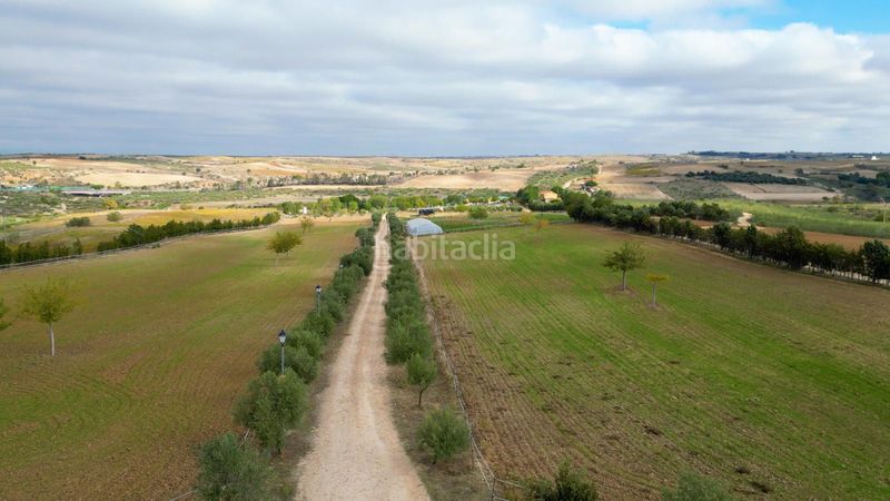 Foto 8fc461f0-f3c4-4747-a03b-ad678c9dceed. Finca rústica a Batres